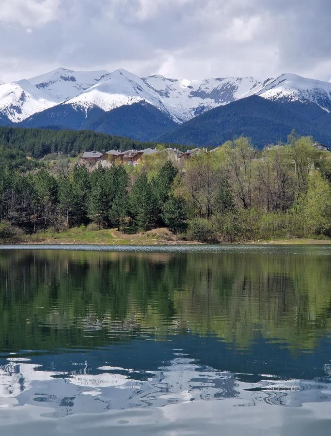 Green Life, Bansko, Private Studio C-17 Екстериор снимка