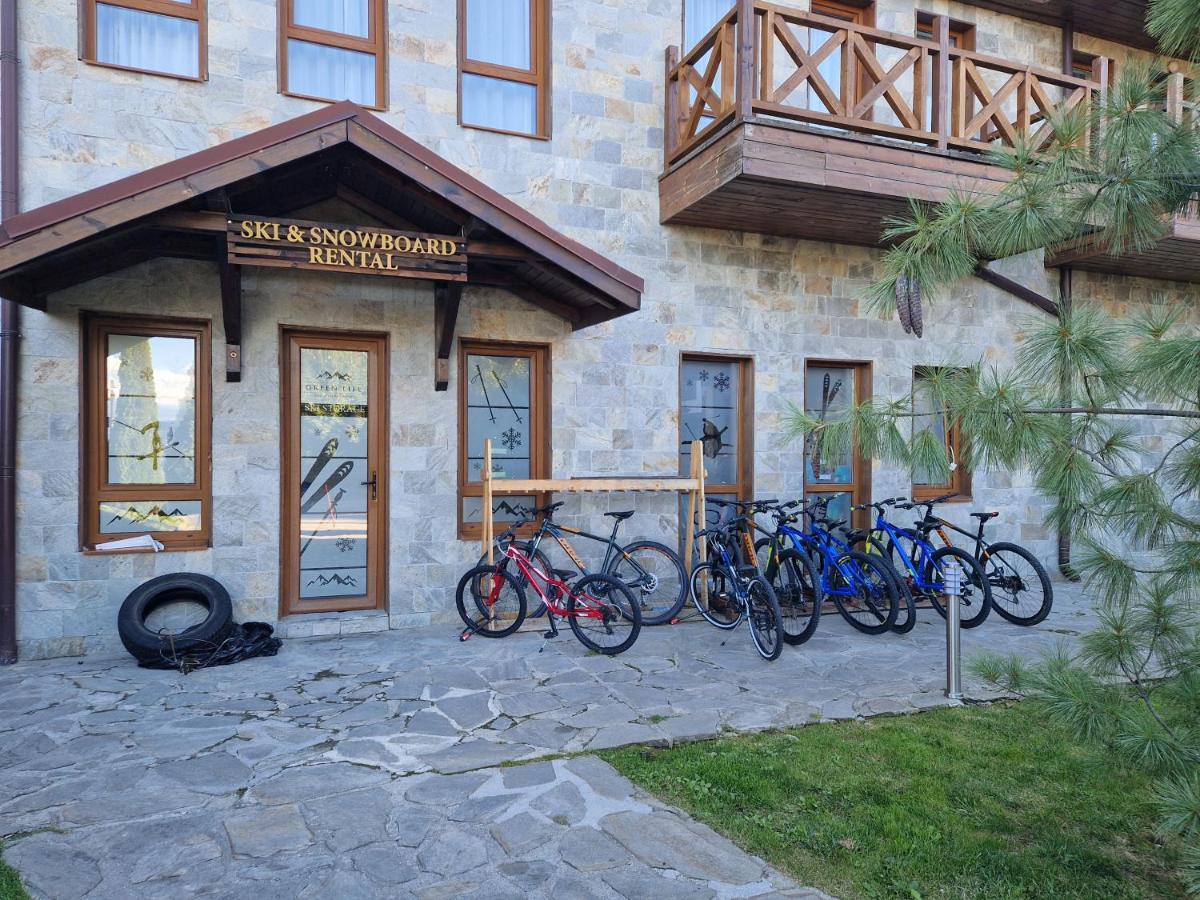 Green Life, Bansko, Private Studio C-17 Екстериор снимка